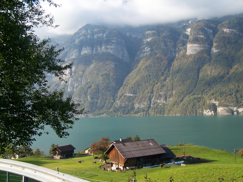 Switzerland,Walensee by Gad Ben Israel