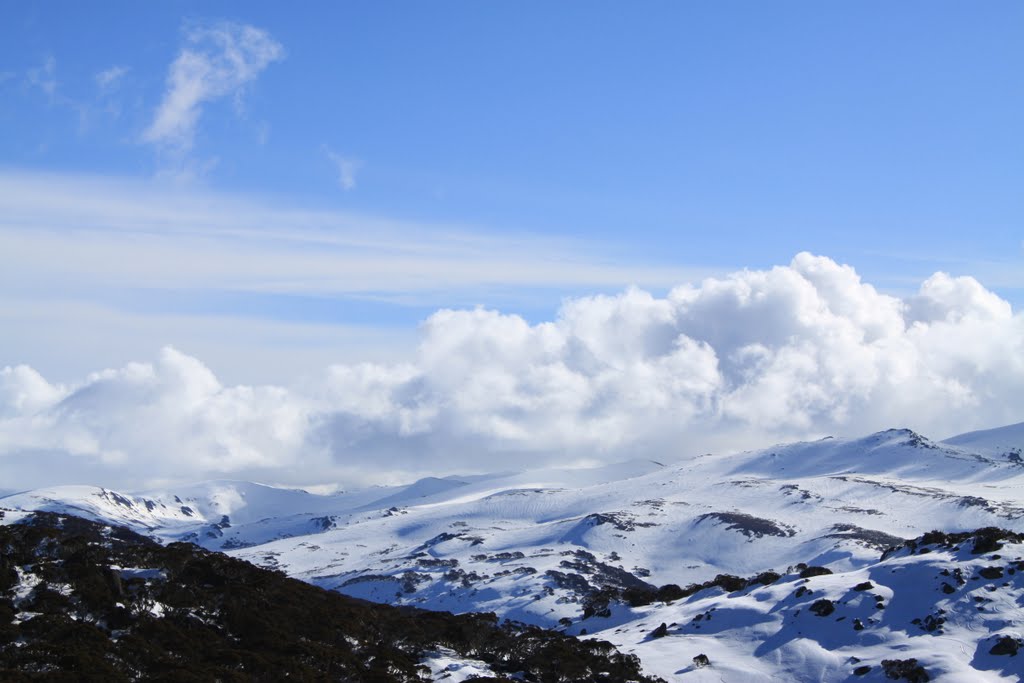 Kosciuszko National Park by Adalee