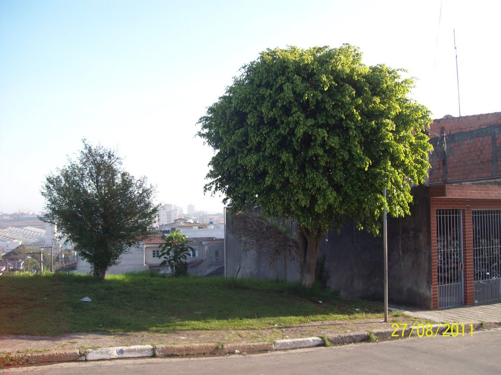 Rua Alvemar Antonio - SBCampo by Eufrasio