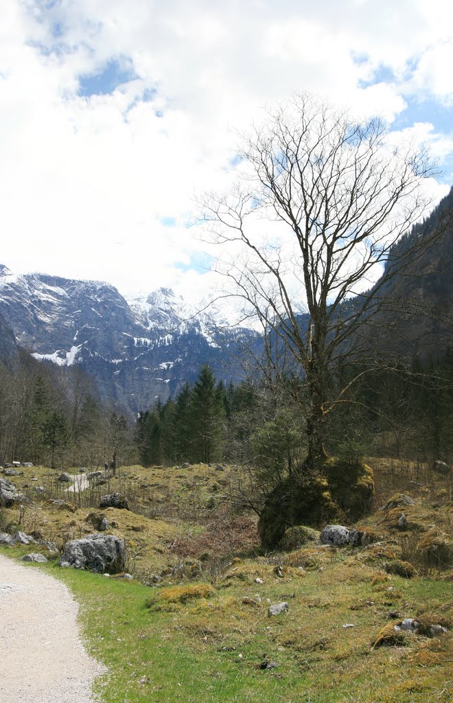 Königssee by Kap Kap