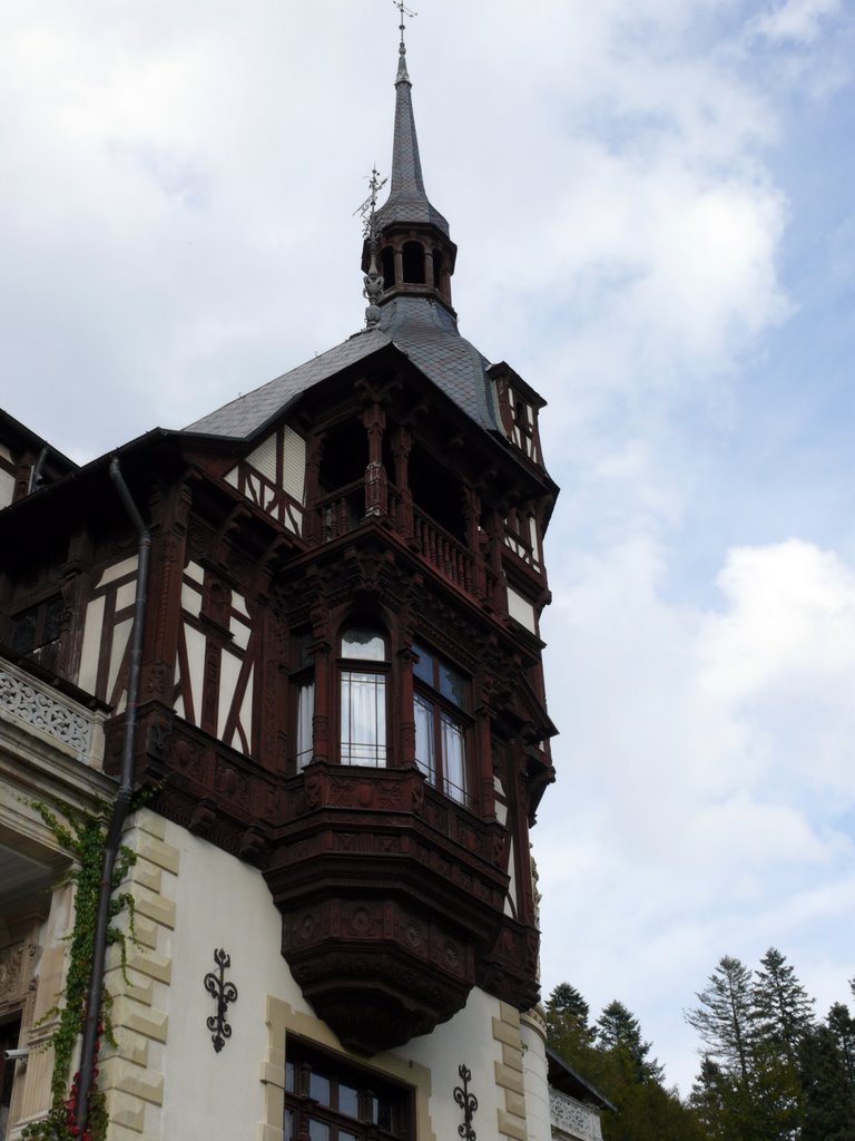 Peles castle detail 2 by Mihai Zegrea