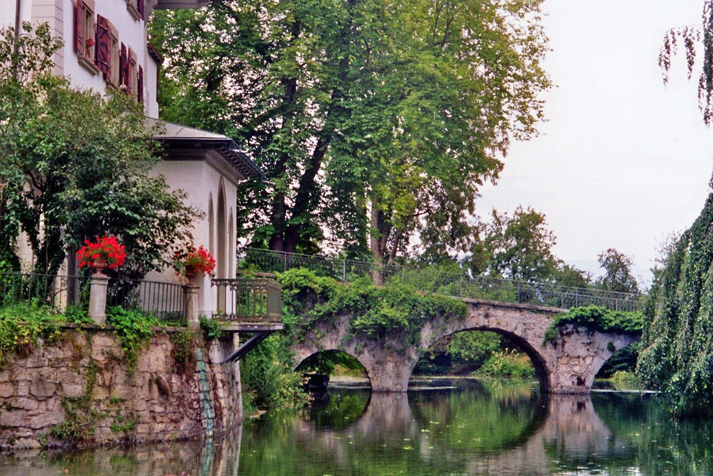 Bern / Landshut / the Castle III by Alfred Mueller