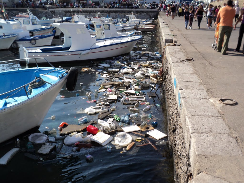 Excess litter by Stefano Tarantino