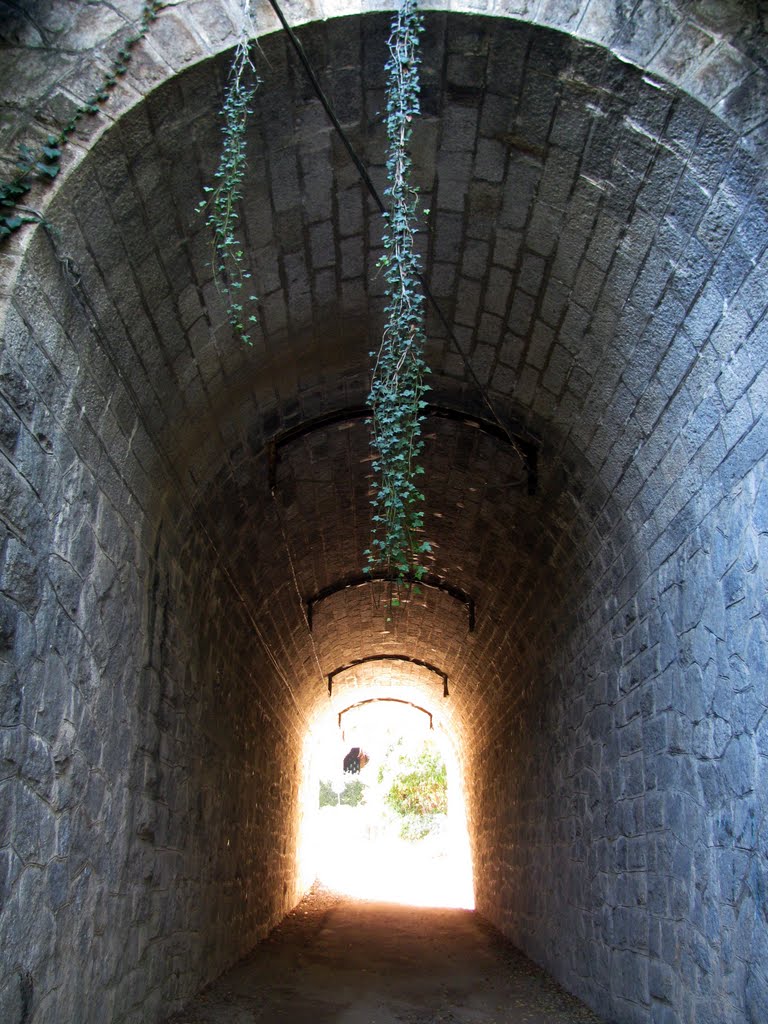 Tunnel to Light by Marco Carnelli