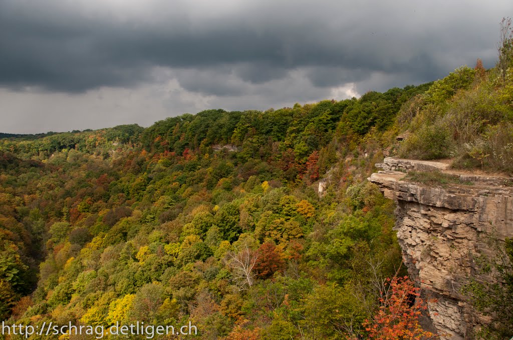 Webster Falls Walk by schrag