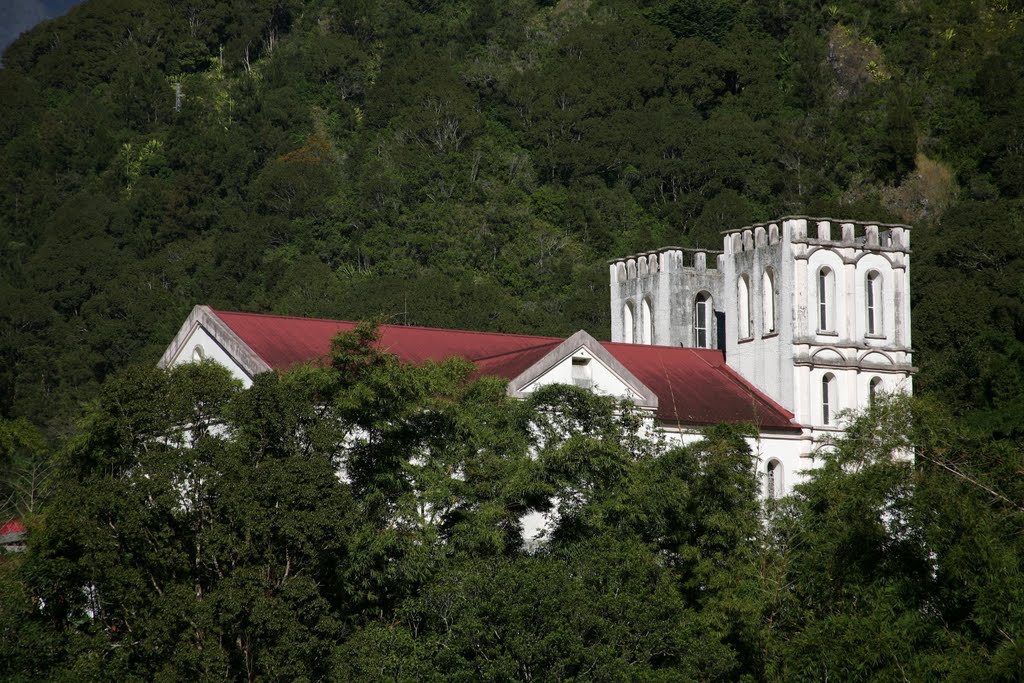 Salazie, La Réunion, France by Hans Sterkendries