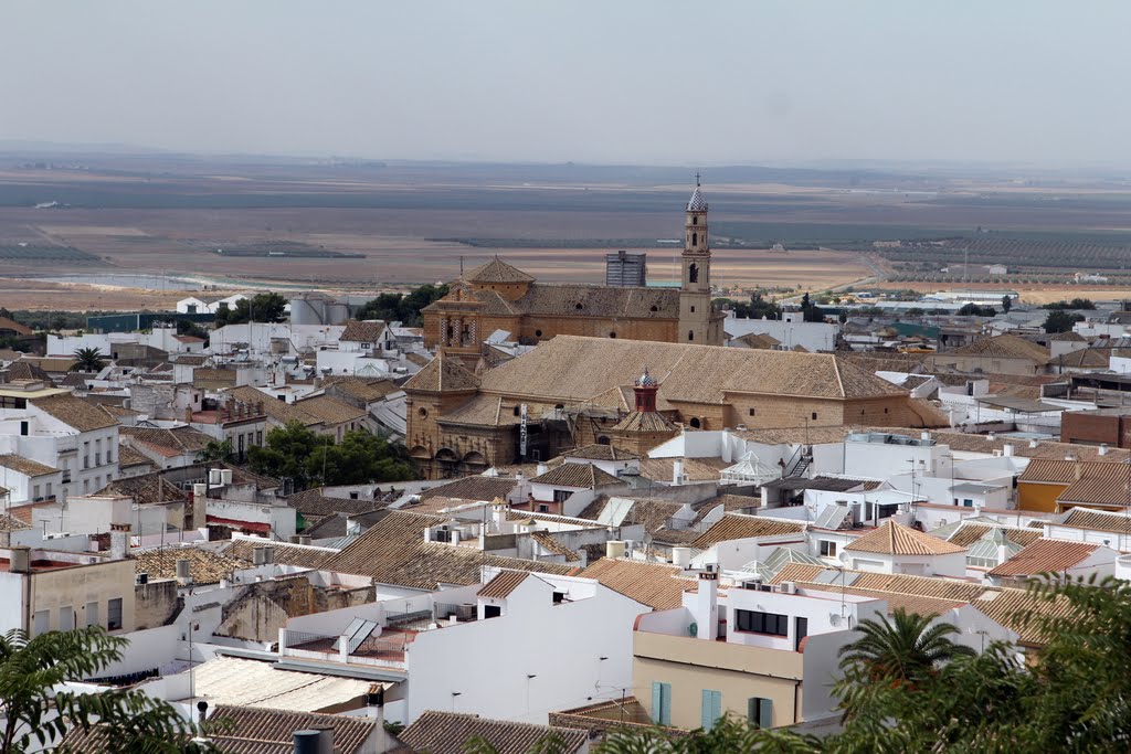 Vista de Osuna desde su Colegiata by RA Melgar