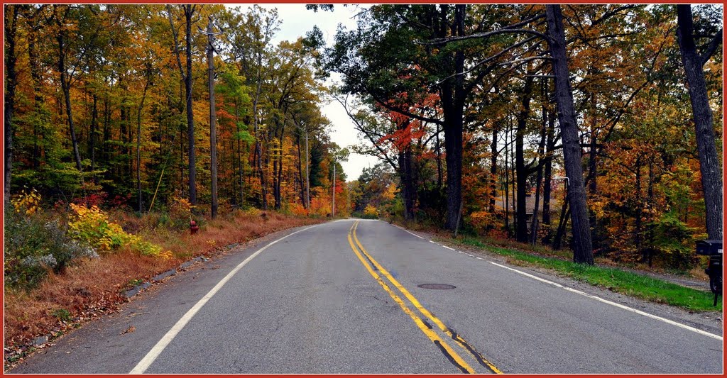 Suburban Road http://www.youtube.com/watch?v=nC9Vt1xQ5Kw&feature=related by olegbar