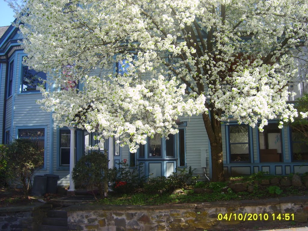 Dwyer House, facing Rogers St. (Rondout) by Mark Caro Yallum