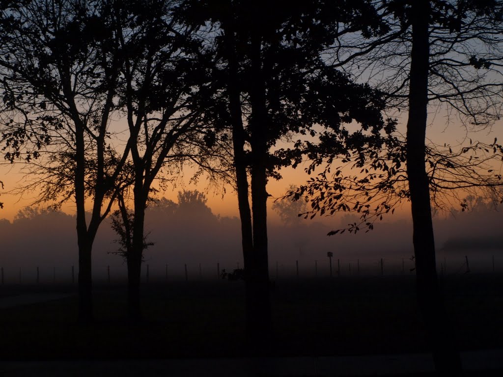 Smith County, TX, USA by Colby