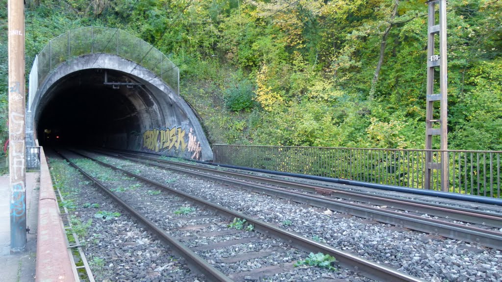 Viaduc ferroviaire et piéton de la Jonction by Magda GHALI