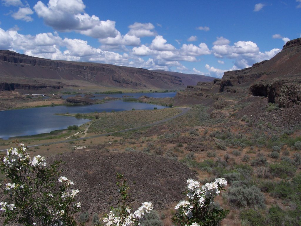 Lenore Caves, Washington parking area and trail head by Tom D Ringold