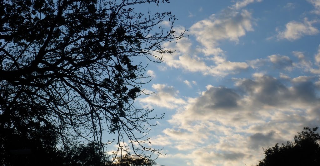 Clouds And Trees by Alessio Rizzitelli