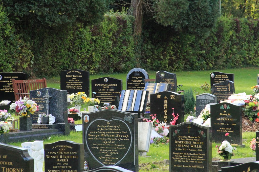 Basingstoke Worting Road Cemetery by SBower