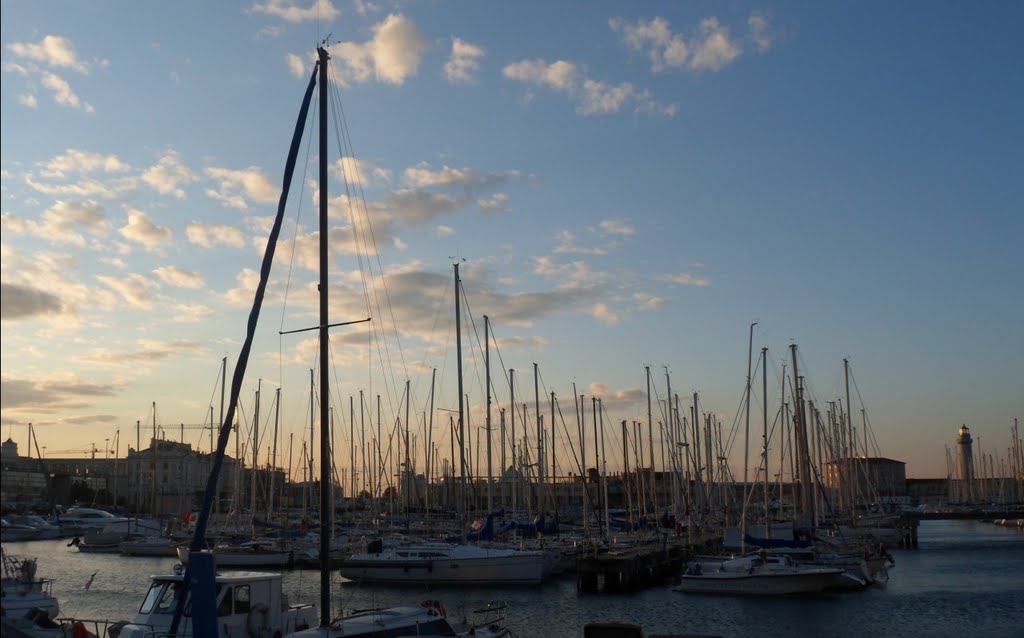 Marina di Trieste by Alessio Rizzitelli