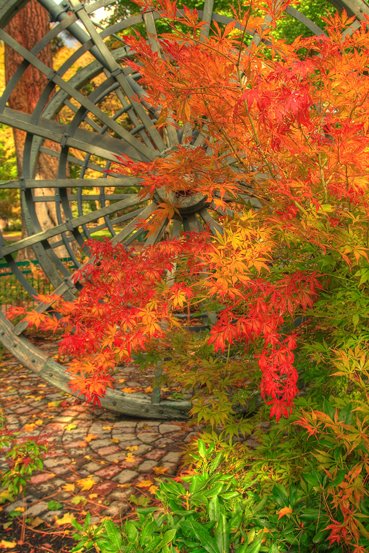 More fall Colors in Drake Park in Bend Oregon by Michael Hatten