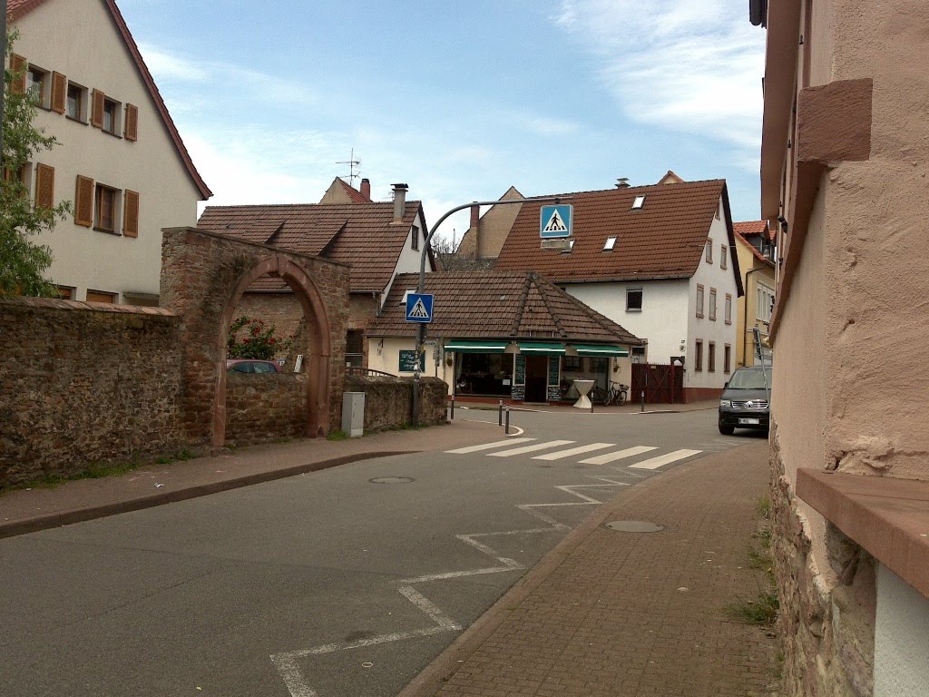 Mühltalstrasse in Handschuhsheim (Hendesse) by n.komarnitzki@googlemail.com