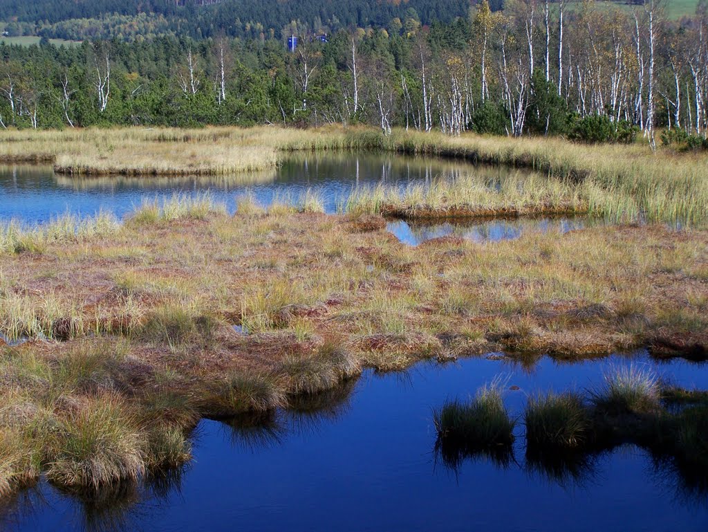 Šumava - Chalupská slať (CZ) - rašelinové jezírko (východní břeh) by lujerista