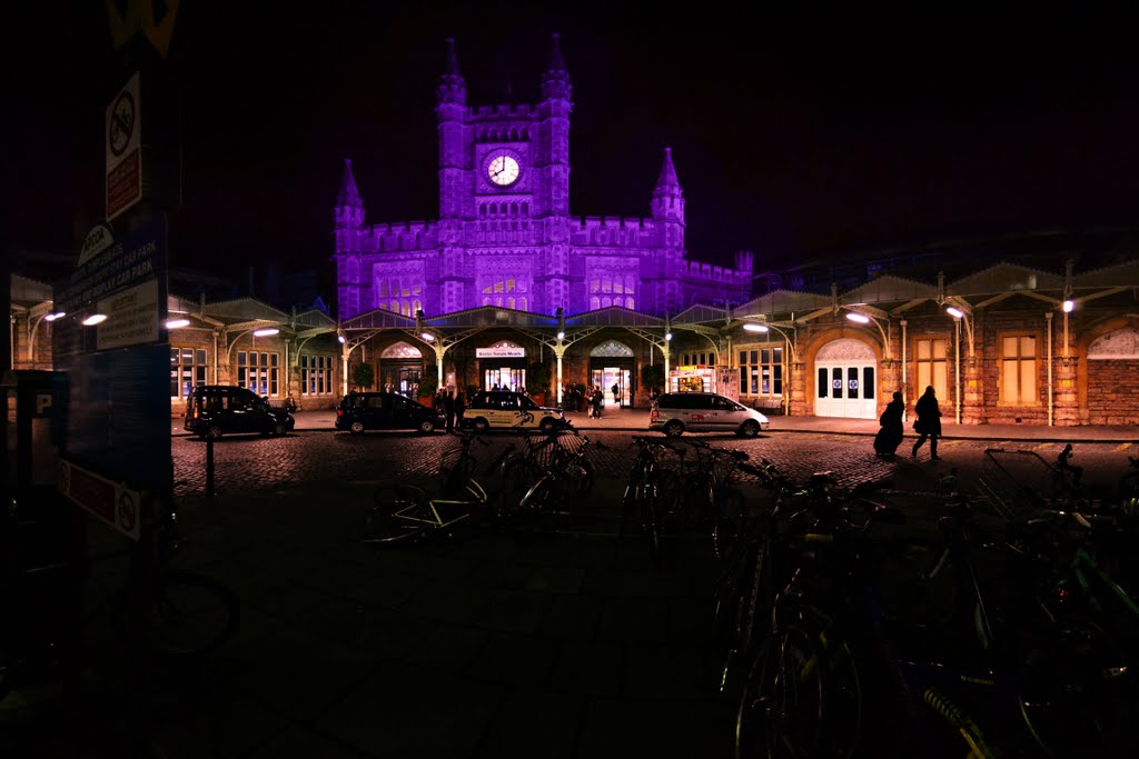 Purple temple meads by fat-freddies-cat