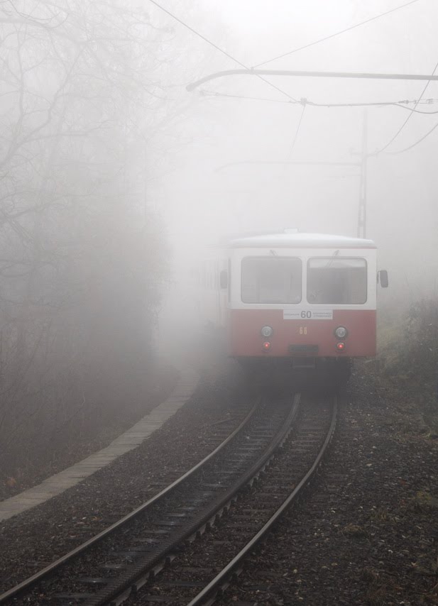 CogFog in fog by k.tibus