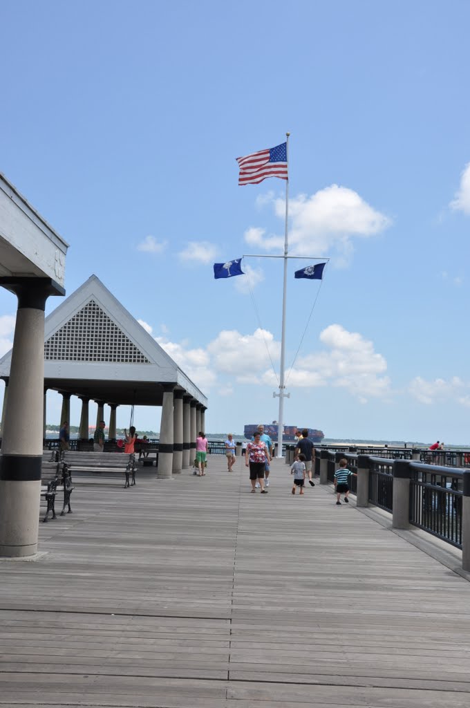 Pier,Waterfront Park, Charleston,South Carolina by ladybird12