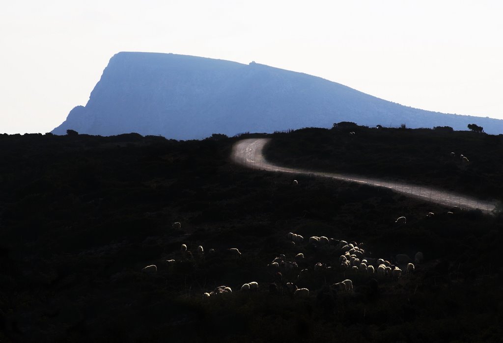 Mountain road at sunset, with sheep in the foreground, Crete, Greece by George Messaritakis