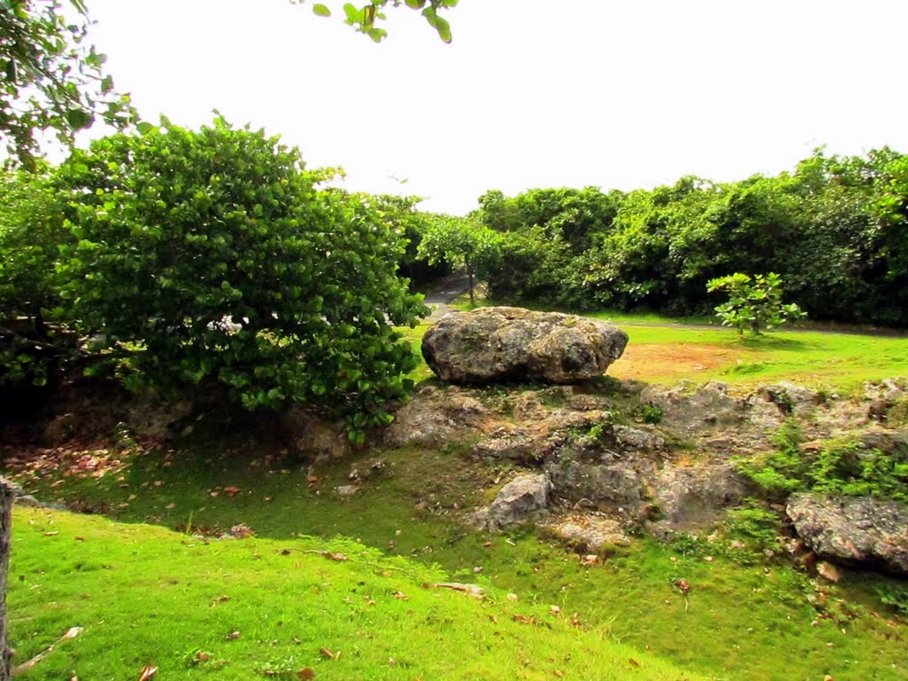 Terranova, Quebradillas, Puerto Rico by Norma Arbelo Irizarr…