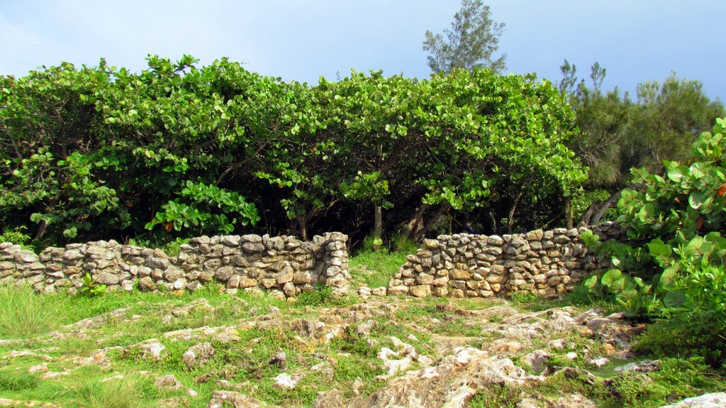 Terranova, Quebradillas, Puerto Rico by Norma Arbelo Irizarr…