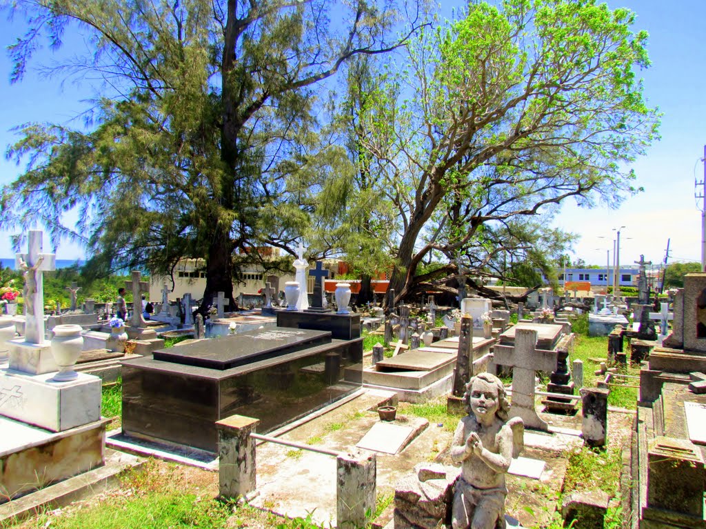 Cementerio Viejo de Camuy, Puerto Rico by Norma Arbelo