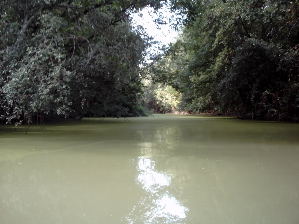 Arroyo Guadiatín by Club de Piragüismo C…