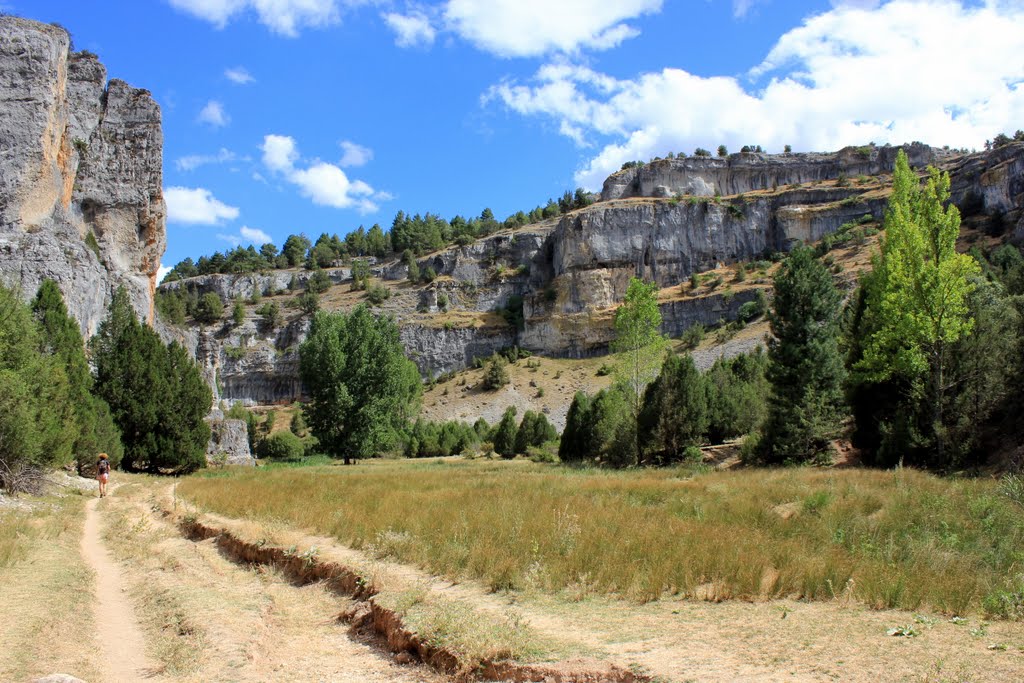 Interior del Cañón del Río Lobos. by javierseg