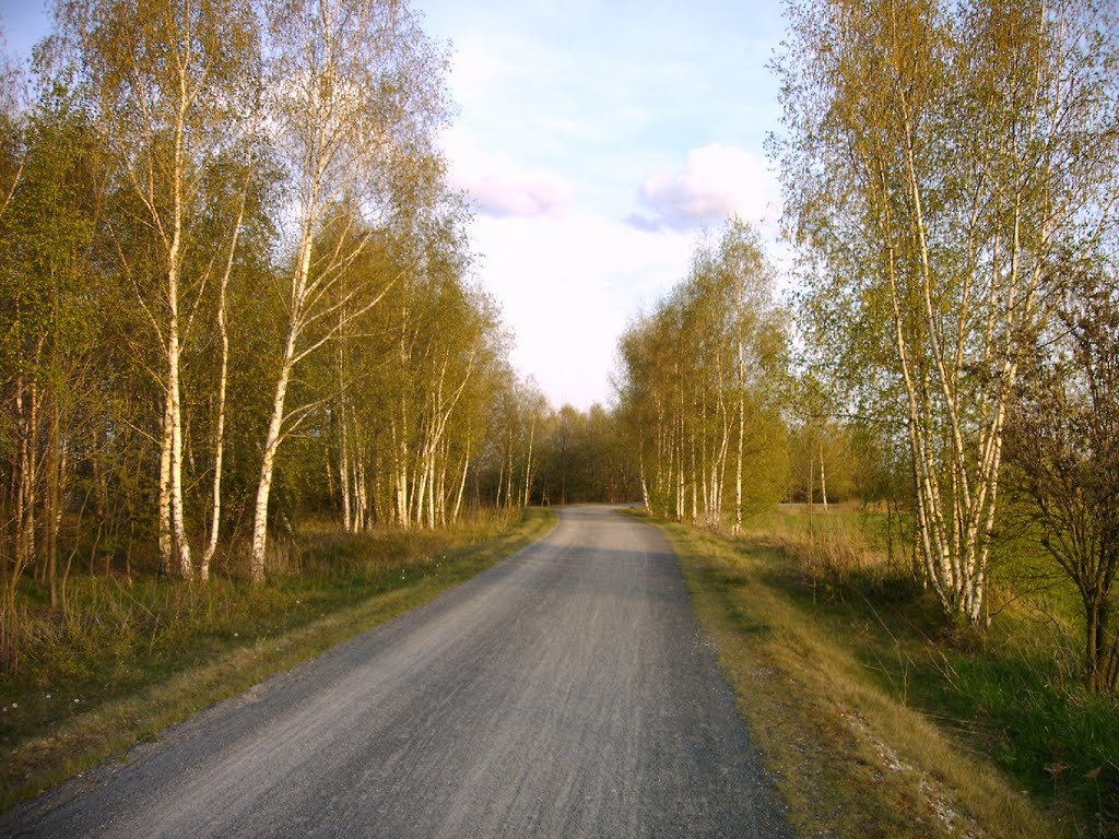 Rundweg Cospudener See Abendstimmung by Hansi Müller