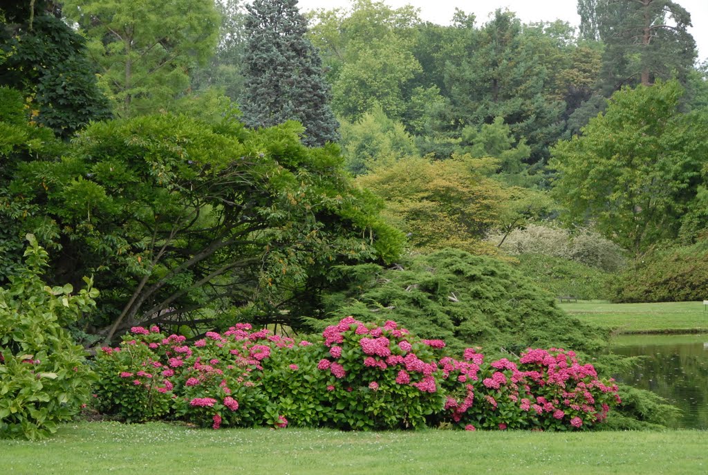 Arboretum de la Vallée aux Loups by Michel APFELD