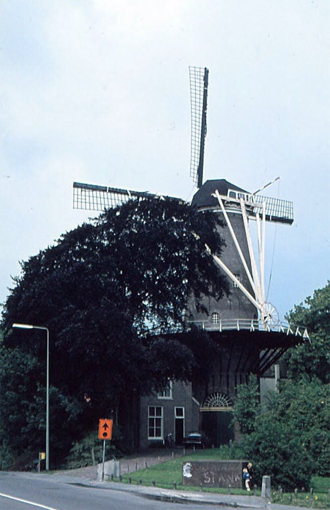 Windmill in Holland by Daan Prinsloo