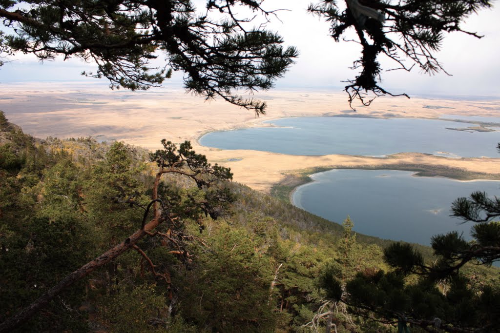 The view from forest to a lake Chebachie. by Vladimir Fedorenko