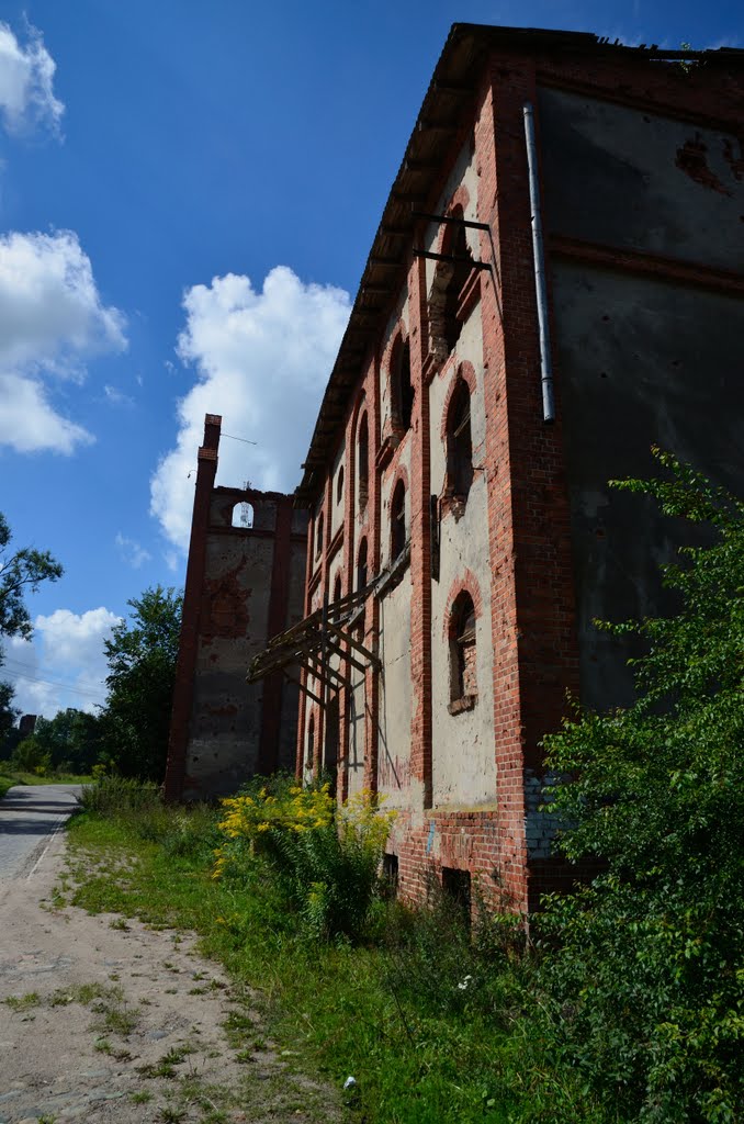 Alte Mühle Zinten/ Ostpreußen by heitabu50