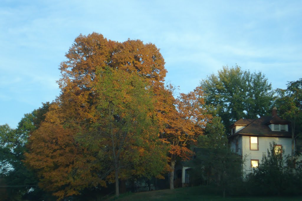 Autumn Tree - Leavenworth by caseytop