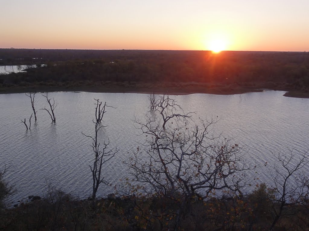 Mopani, Kruger Park, Zuid-Afrika by MrRobbert.P