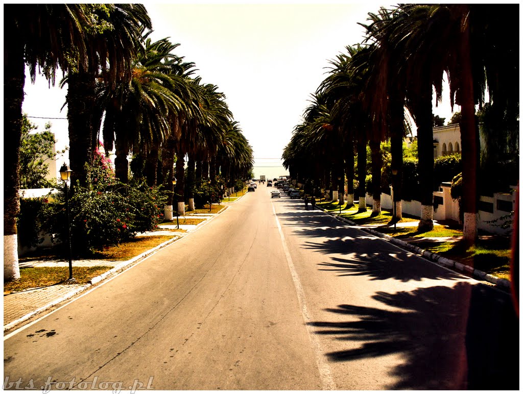 Amilcar, Carthage, Tunisia by betees