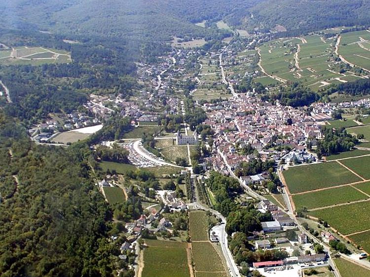 Château Savigny-lès-Beaune & vineyards (Aerial view) by Tudor Owen