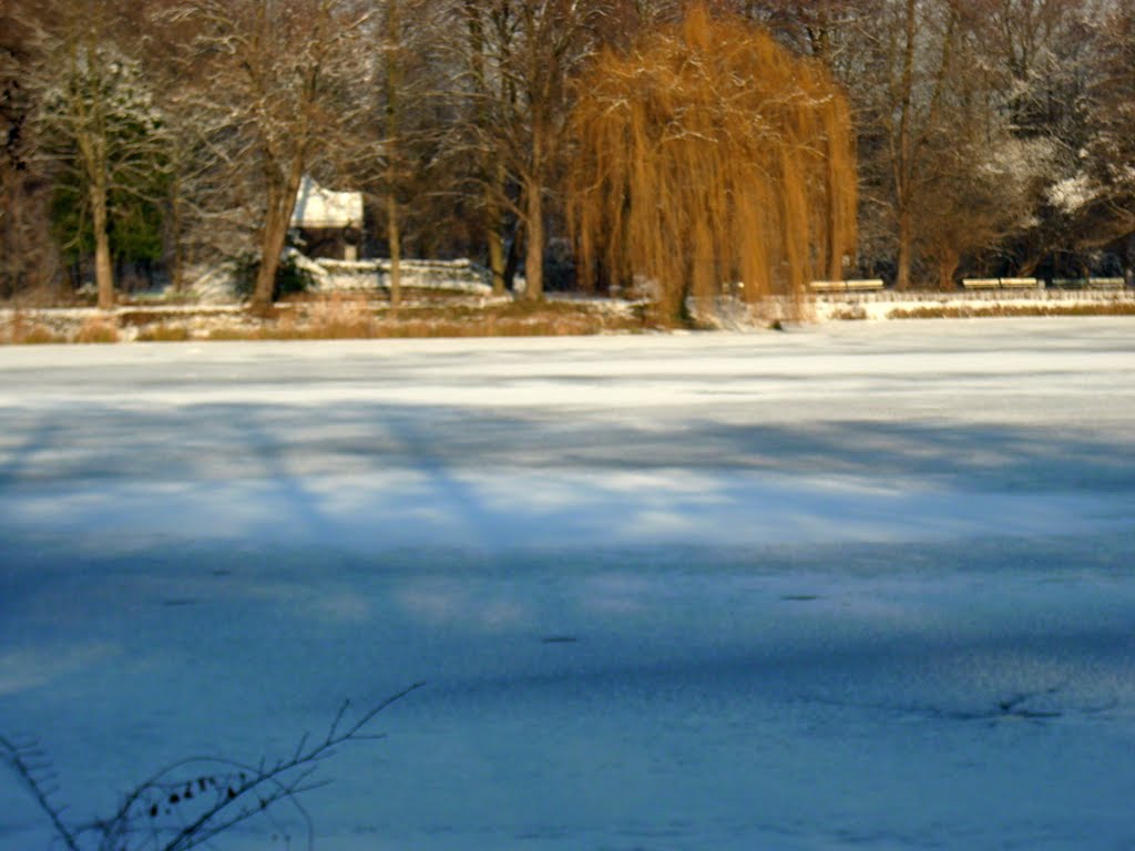 See im Jungferheidepark im Winter by Guapa12