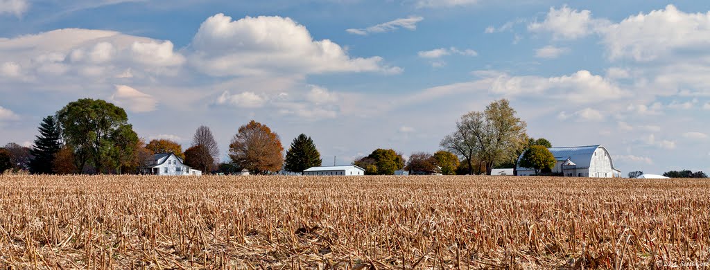 Farm, Telegraph Road: After Harvest by Scott Gore