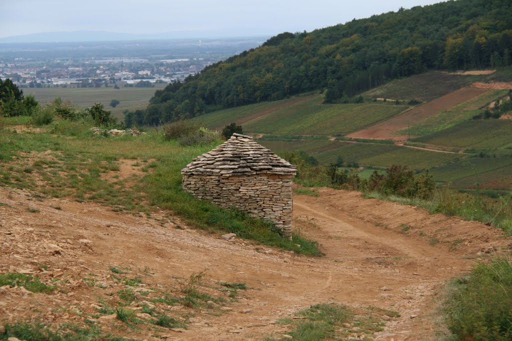 Cabotte dans les vignes by G.Rosette