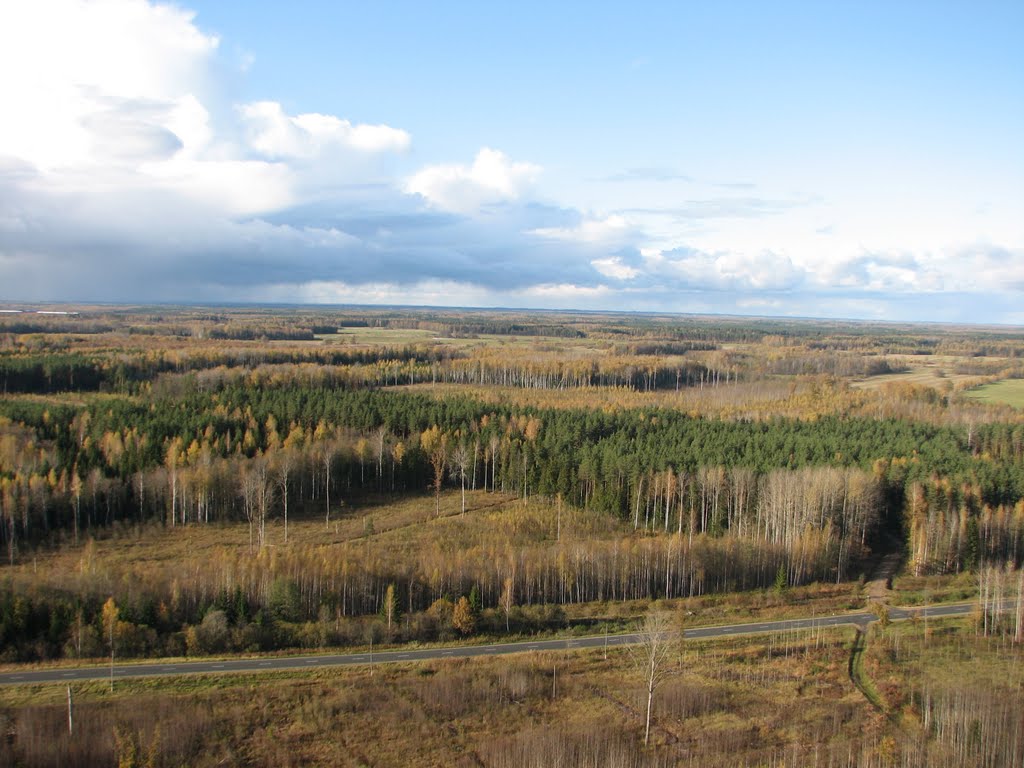 Autumn. From a height of 90m 21/10-2011 by Andrey Tamansky