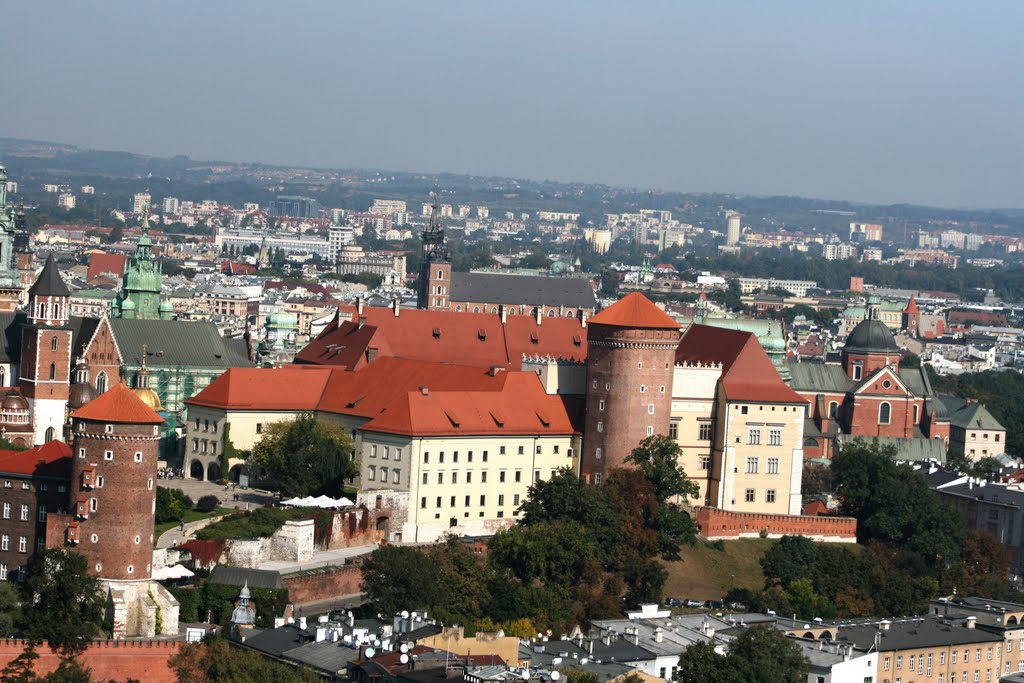 Il wawel visto dal pallone aerostatico by and.ab73