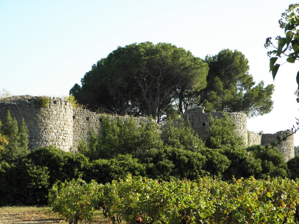 Château fort des Guilhem by zicx