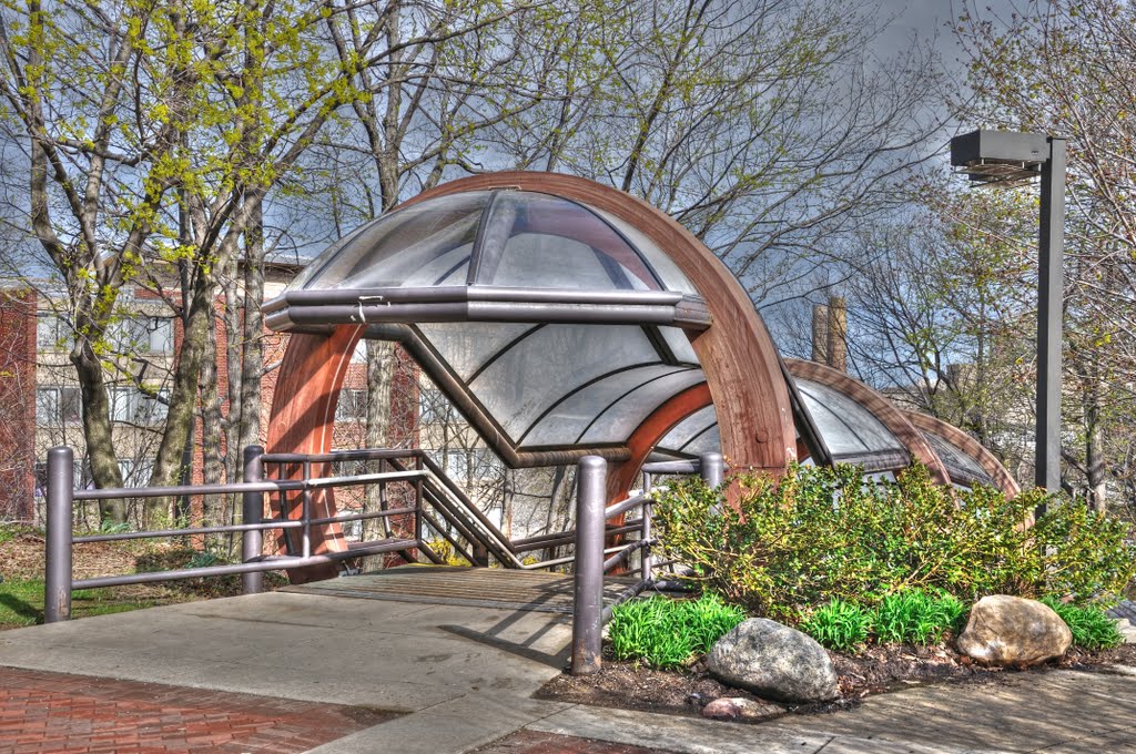 Outdoor Staircase - CWRU Campus by DWGRadio