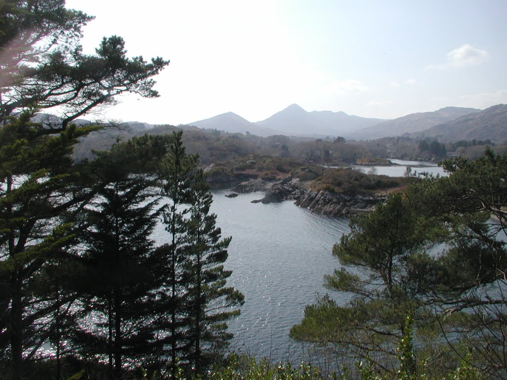 View from Garinish Island, Glengariff, Co.Cork by Andrew Hind