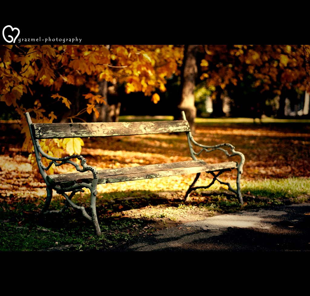 Some Autumn Light by graziano skyrunner