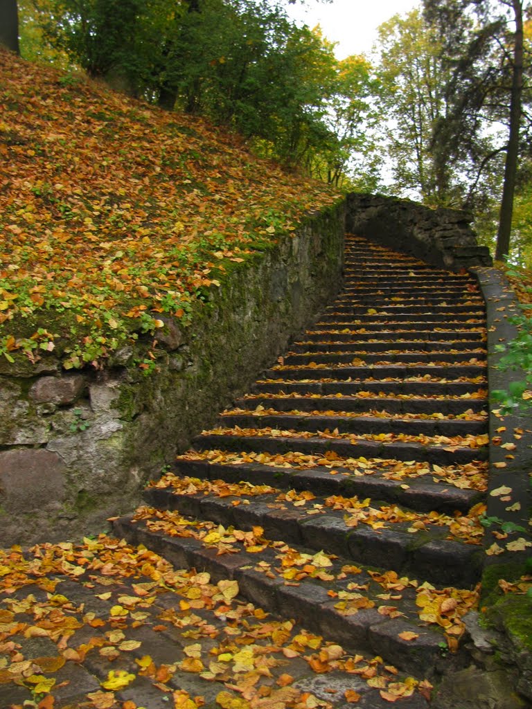 Arkādijas parks by Indra Dišteina